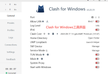 Clash for Windows 安装与配置全攻略(新手入门指南)-Clash下载站